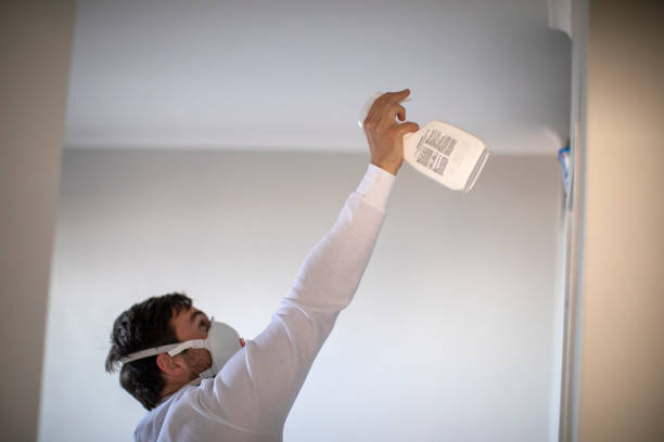 Best Certified Mold Removal  in Osceola, AR