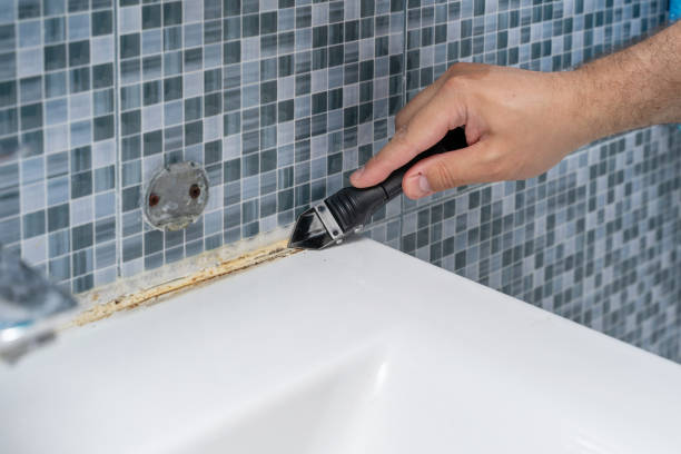 Best Office Mold Removal Services  in Osceola, AR